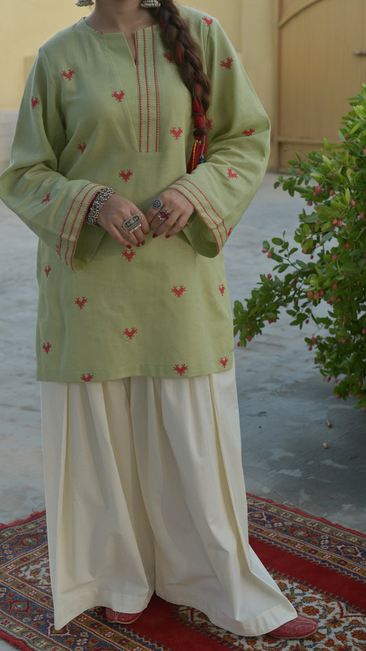 DILKARI 2PC SET